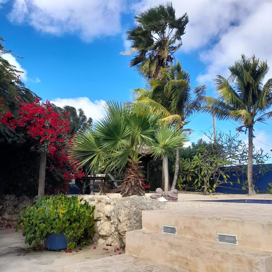 Caribbean Chillout Apartments Kralendijk  Bagian luar foto