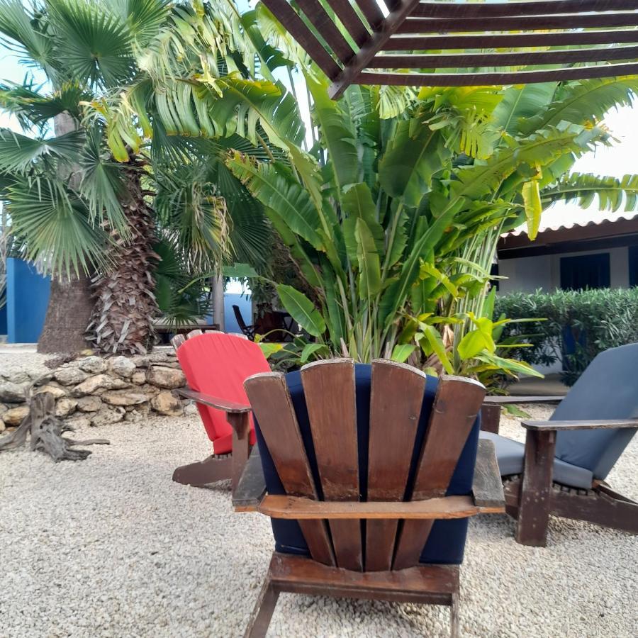 Caribbean Chillout Apartments Kralendijk  Bagian luar foto