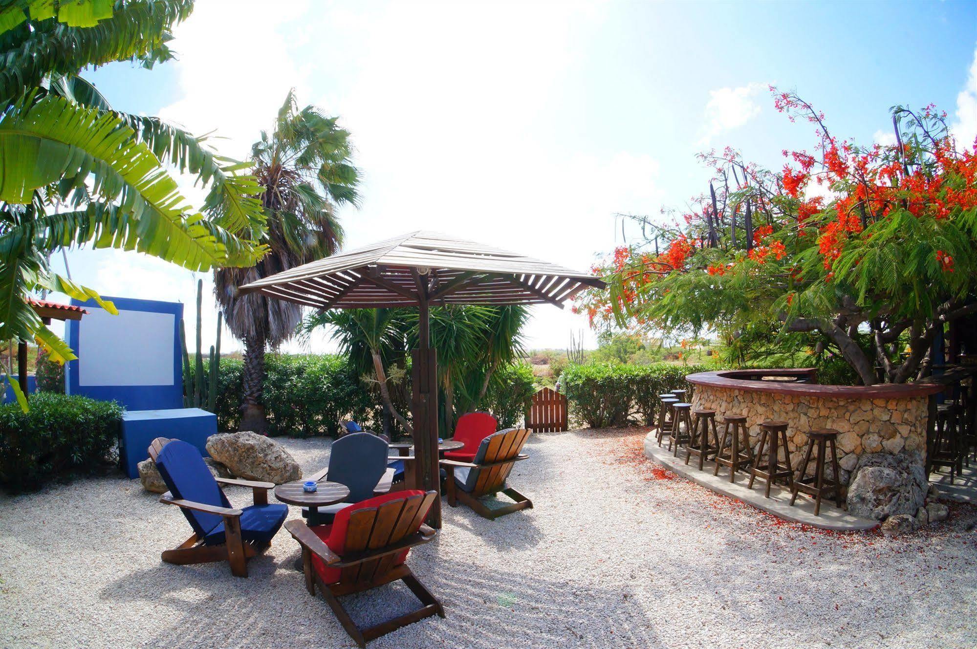 Caribbean Chillout Apartments Kralendijk  Bagian luar foto