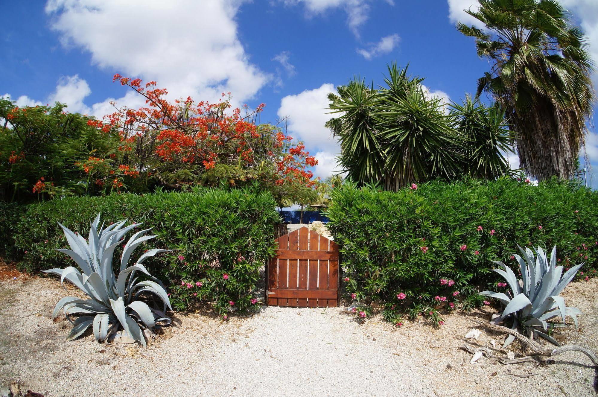 Caribbean Chillout Apartments Kralendijk  Bagian luar foto