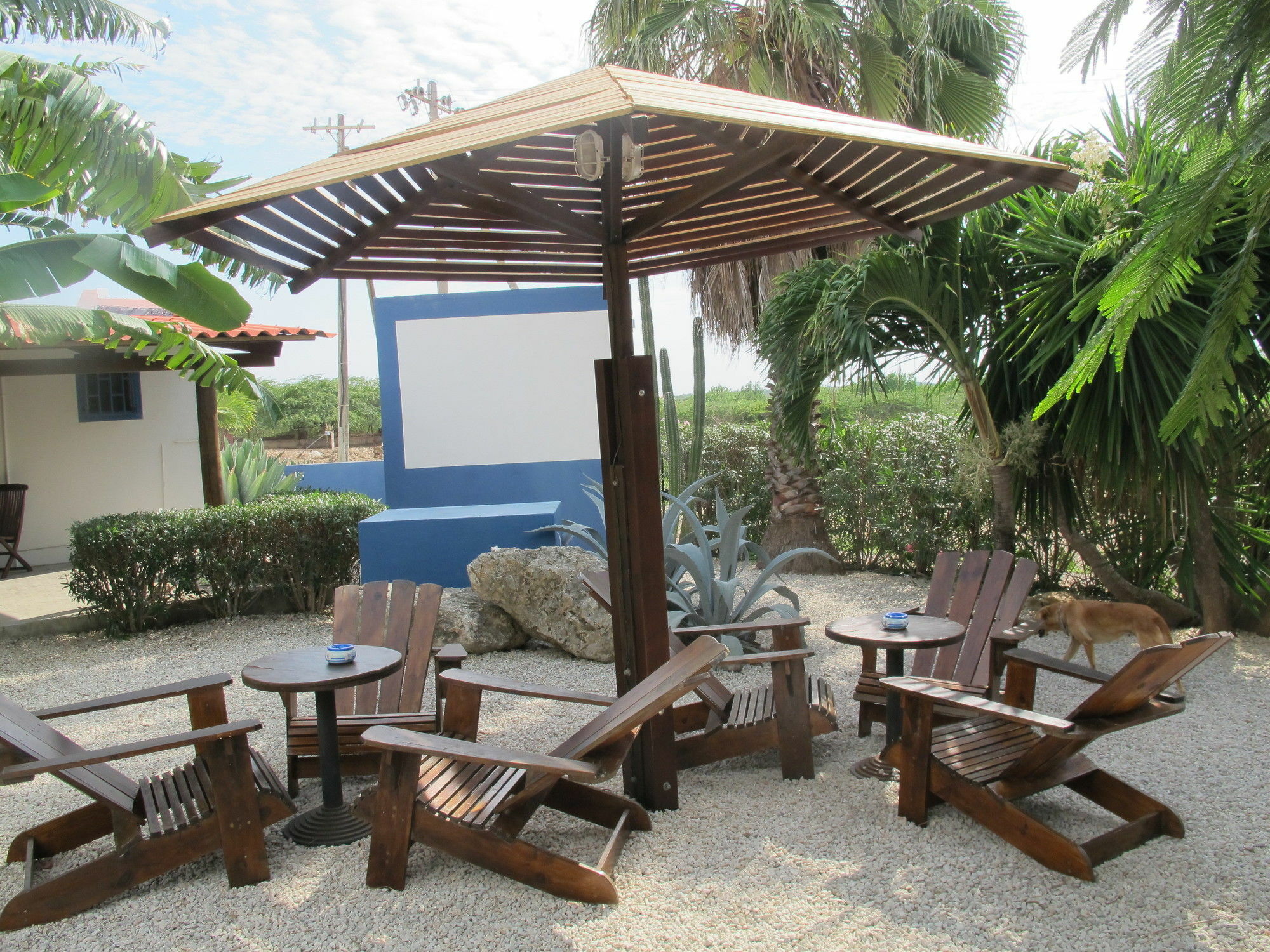 Caribbean Chillout Apartments Kralendijk  Bagian luar foto